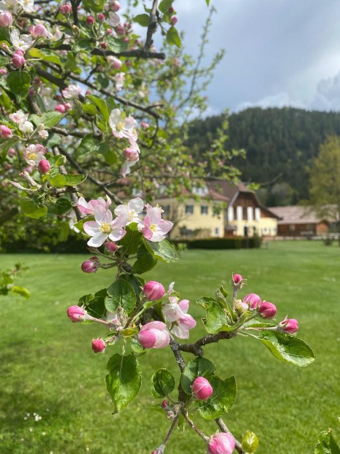 Hotel Dienstl Gut Launsdorf 외부 사진